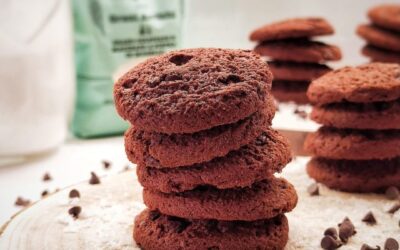 BISCOTTINI  AL CIOCCOLATO